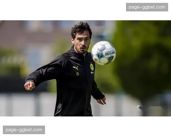 德甲裁判委员会召开研讨会，统一赛季末关键战役的VAR介入尺度