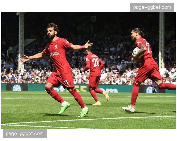 赛季回顾：从升班马到成功保级，莱切的2025-26赛季